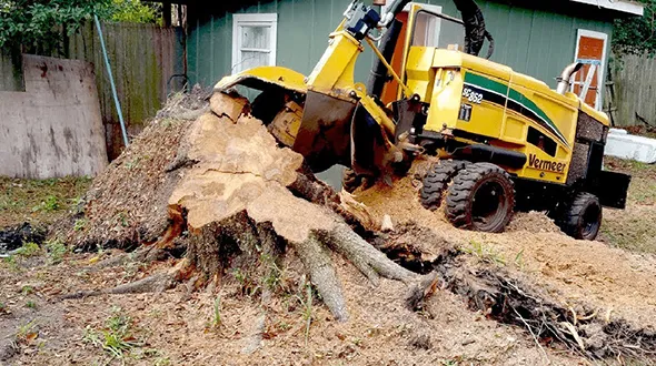 Benefits of choosing local stump grinding, showing a stump grinder in Woodstock, Ontario.